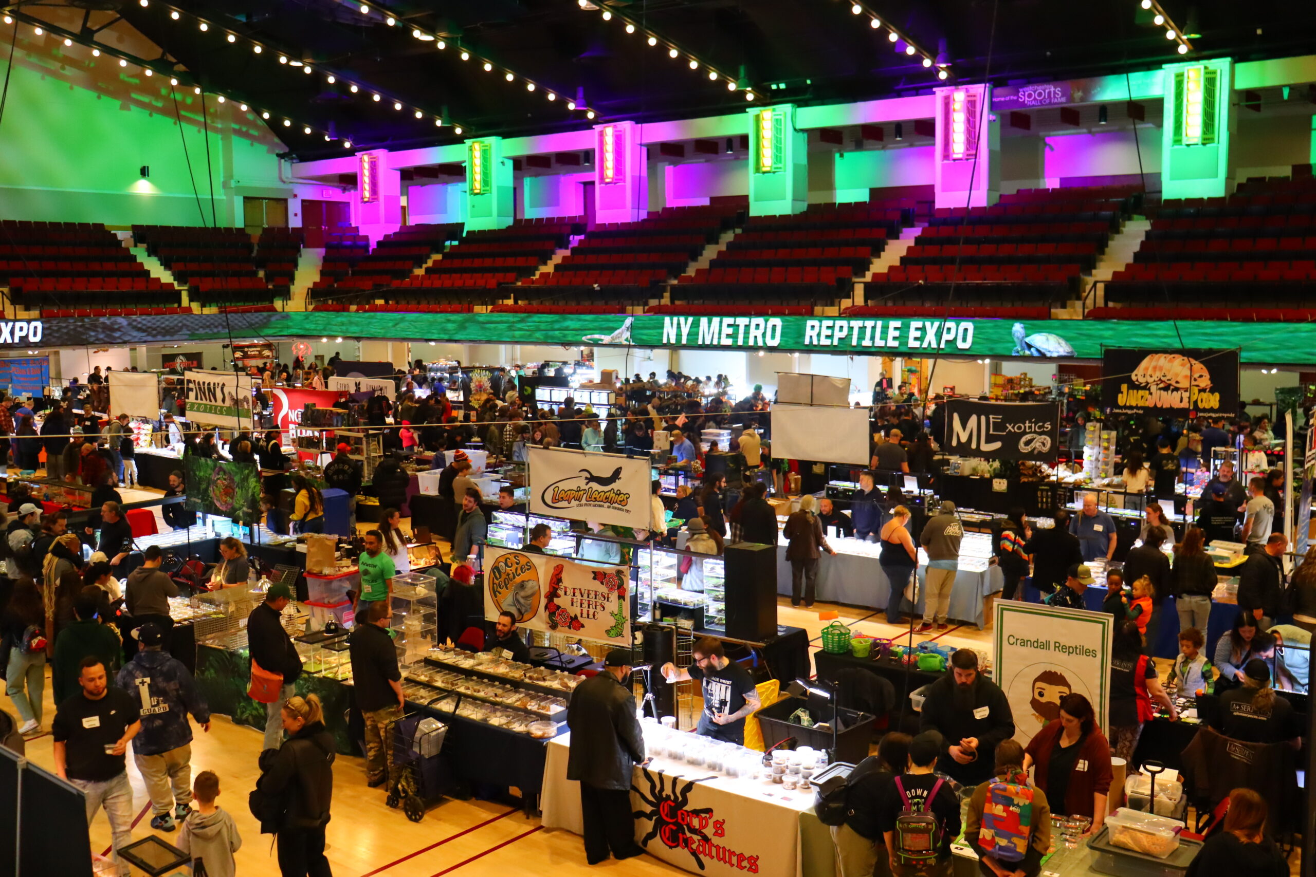 crowd gathered at reptile expo inside the westchester county center